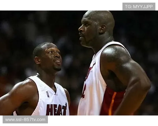 迈阿密热火加时负于多伦多猛龙，韦德因伤缺席