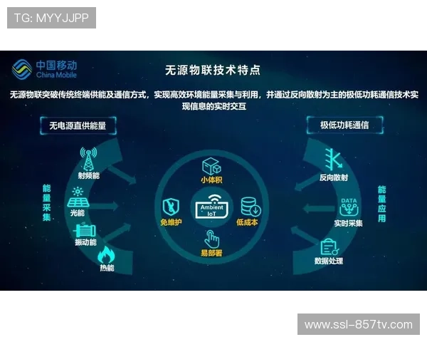无源物联技术实现设备自动识别,物资调度速度提升30% 无源物联技术实现设备自动识别,物资调度速度提升30%